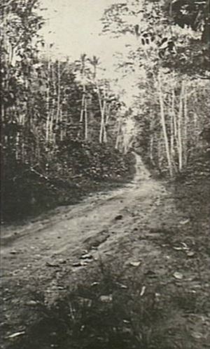 Bitapaka Road